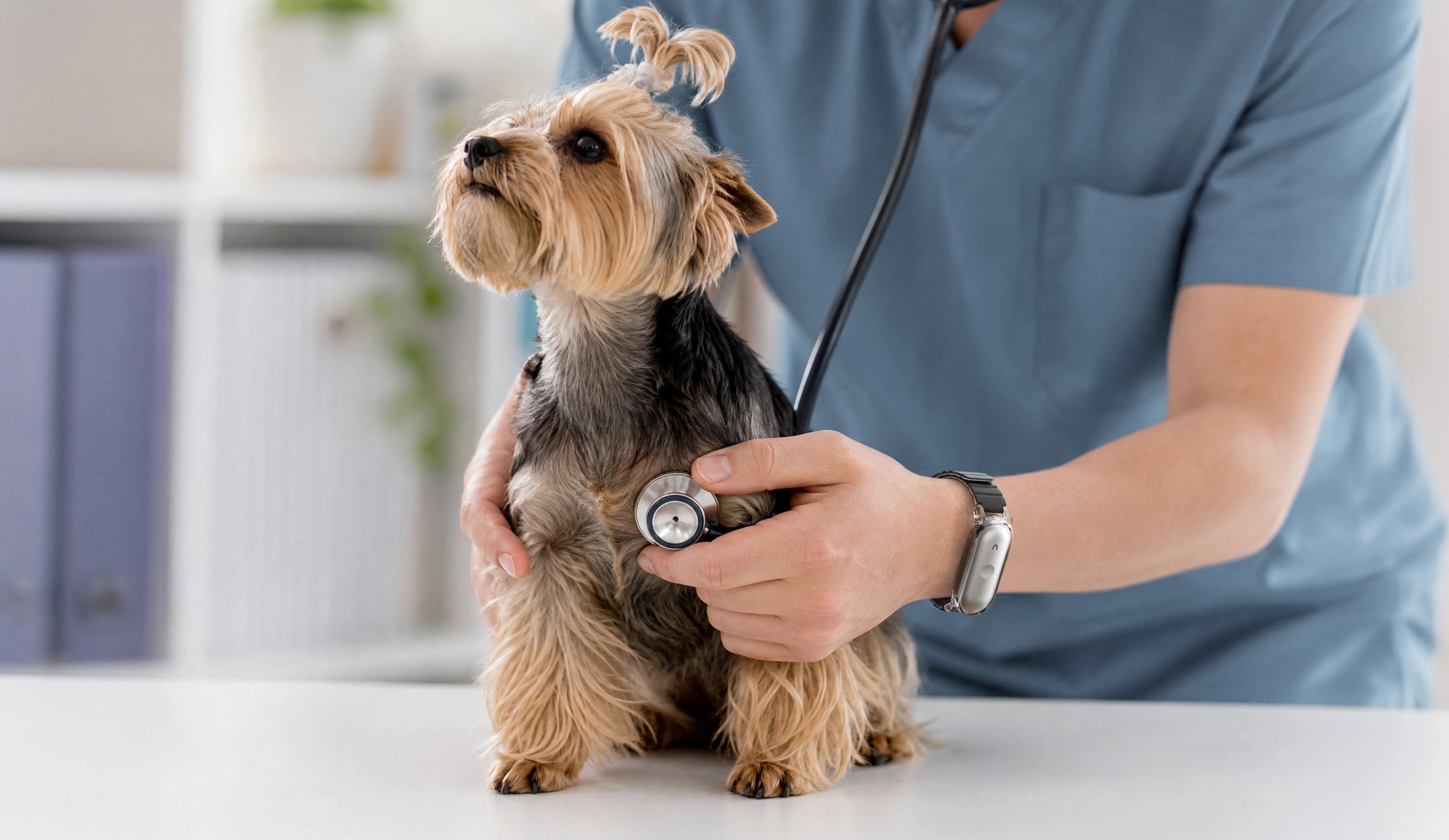 Routine wellness exams